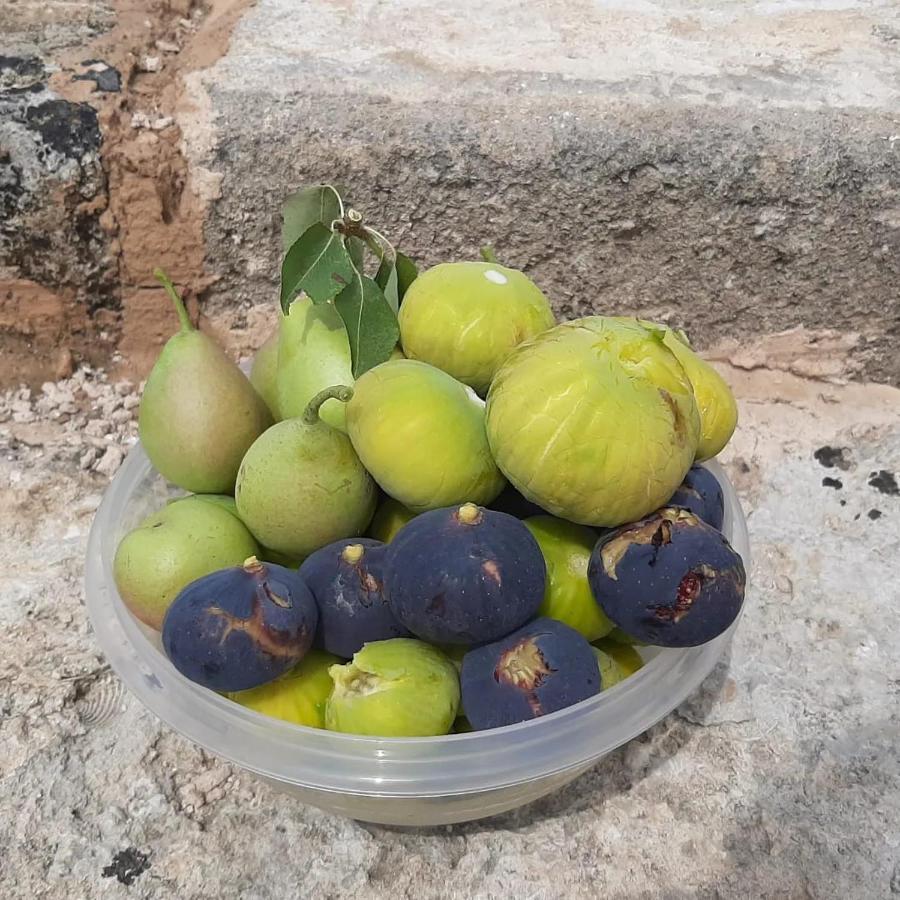 דירות Nardò Casina Pompiliano מראה חיצוני תמונה